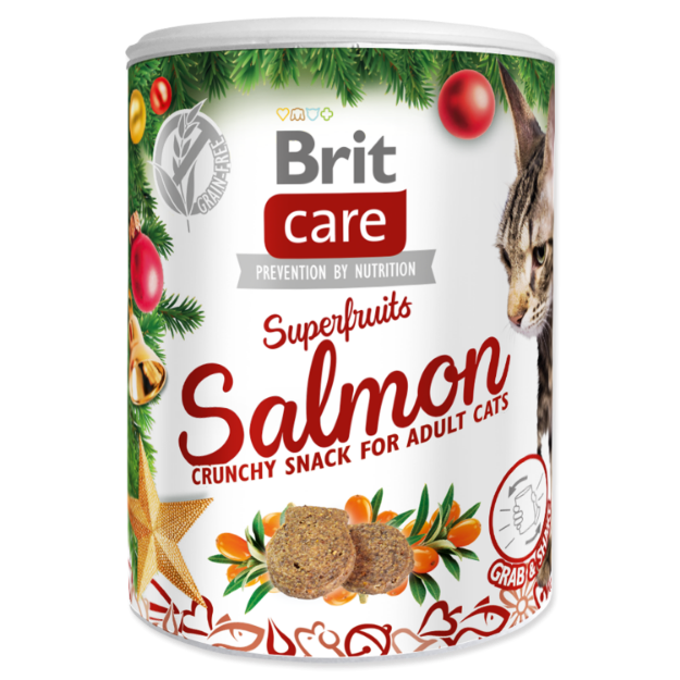 Obrázek BRIT Care Cat Christmas Superfruits  100 g